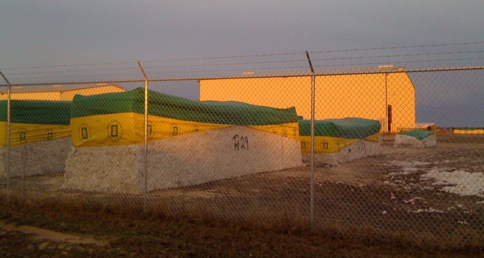 Cotton bales stored at a processing warehouse